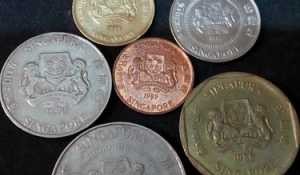 新加坡硬币一块长什么（新加坡币 硬币）