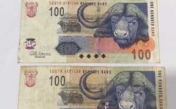 南非币是什么样子（南非货币简写）