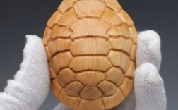 雕刻龟壳叫什么名字（雕刻龟壳叫什么名字呢）