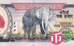 纸币大象号是什么号（纸币背面有大象1000）