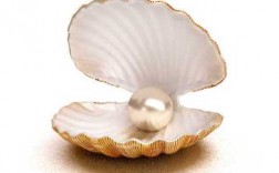 贝壳珍珠什么样（贝壳的珍珠值钱吗）