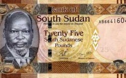 苏丹币什么样子（苏丹的货币单位是什么）
