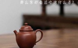 紫陶壶适合泡什么茶（紫砂壶一壶只能泡一种茶吗）