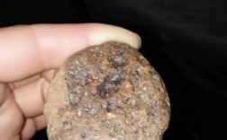 石陨石有什么特征（石陨石的特征是什么,有磁性吗?）