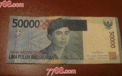 印度尼西亚是什么币（印度尼西亚是什么币种）