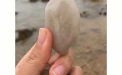 海边能捡到什么石头（海边能捡到什么宝石）