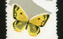 蝴蝶属于什么种类的邮票（蝴蝶邮票知识）