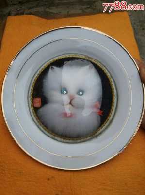 裂纹的盘子是什么品种（裂纹的盘子是什么品种的猫）-图2