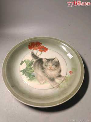 裂纹的盘子是什么品种（裂纹的盘子是什么品种的猫）-图3