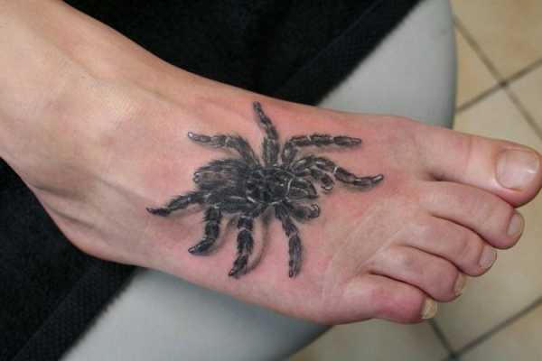 脚上有蜘蛛代表什么（脚上蜘蛛代表什么象征意义）-图1