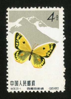 蝴蝶属于什么种类的邮票（蝴蝶邮票知识）-图1