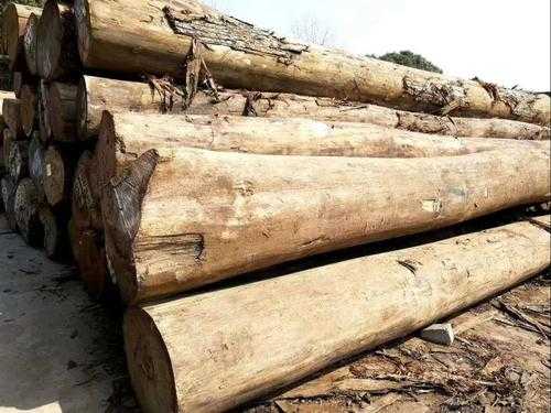 很重的木头是什么木（比较重的木头）-图1