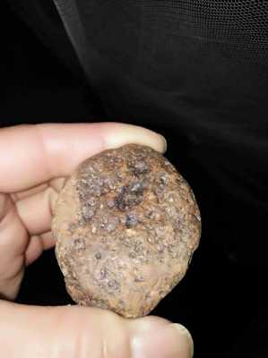 石陨石有什么特征（石陨石的特征是什么,有磁性吗?）-图1