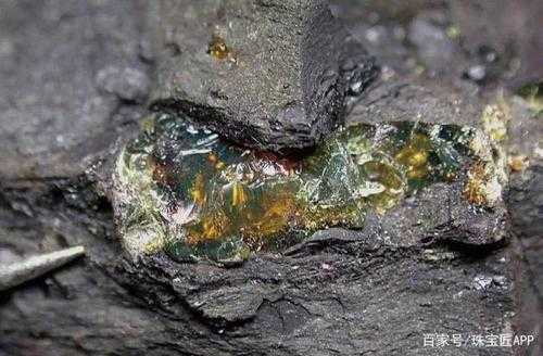 煤里用什么发现琥珀（煤里的琥珀如何能发现）-图1