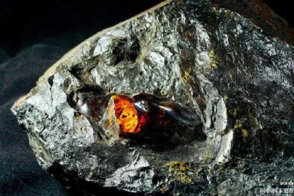 煤里用什么发现琥珀（煤里的琥珀如何能发现）-图2