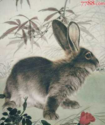 兔子画寓意是什么（兔子画的寓意是什么）-图1