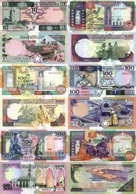 索马里货币是什么（索马里卖钱）-图1