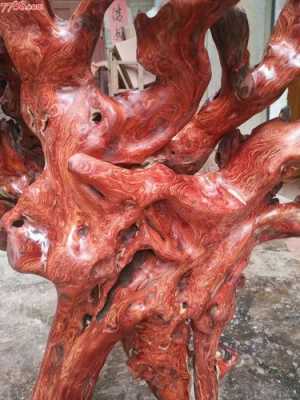 金丝红木是什么木材（金丝红木图片）-图1
