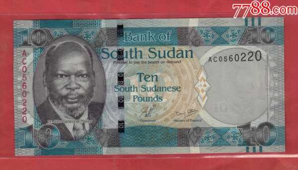 苏丹币什么样子（苏丹的货币单位是什么）-图2