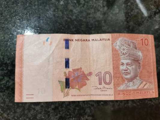 马来西亚纸币是什么材质（马来西亚纸币是什么材质制成的）-图1