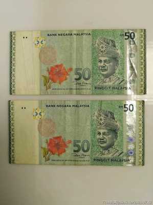马来西亚纸币是什么材质（马来西亚纸币是什么材质制成的）-图3