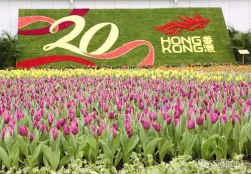 杭州花卉展览什么时间（2020年杭州花展时间表）-图2