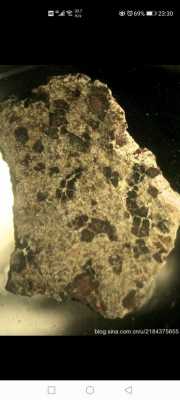 陨石的断面特征是什么（陨石断面颗粒放大图片）-图2