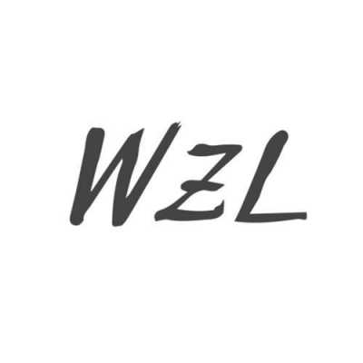 wzl是什么人（wzl是什么中文名字）-图1