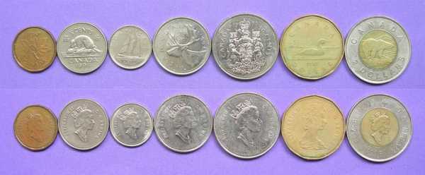 加拿大币是什么样子（加拿大币有几种面值）-图2