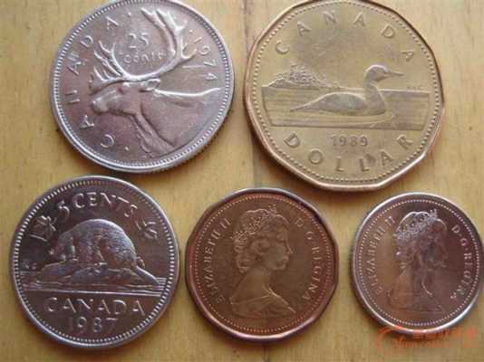 加拿大币是什么样子（加拿大币有几种面值）-图3