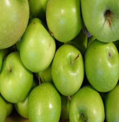 苹果绿苹果叫什么（苹果绿苹果叫什么名字好听）-图2