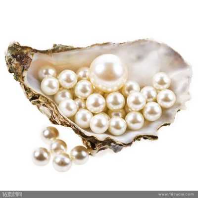 什么样的贝类有珍珠（啥贝壳里有珍珠）-图3