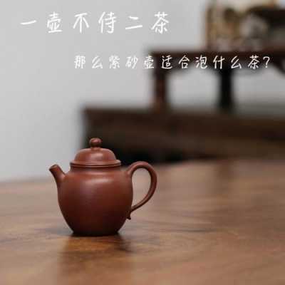 紫陶壶适合泡什么茶（紫砂壶一壶只能泡一种茶吗）-图1