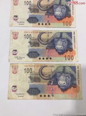 南非是什么币（南非币是什么样子）-图2
