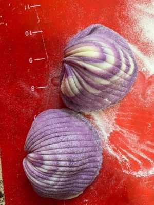 紫贝壳代表什么意思（紫贝壳象征着什么）-图1