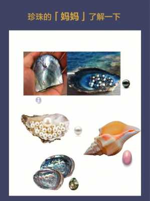 珍珠的形成是什么变化（简单概括一下珍珠的形成过程）-图1